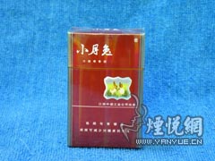 小熊猫(精品出口)