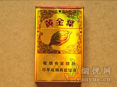 黄金叶(流金岁月)